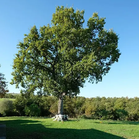 Podere La Miniere Pienza